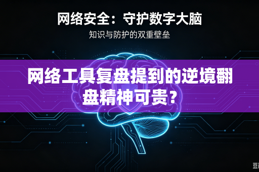 网络工具复盘提到的逆境翻盘精神可贵？
