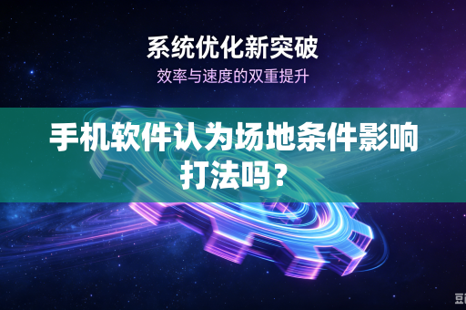 手机软件认为场地条件影响打法吗？