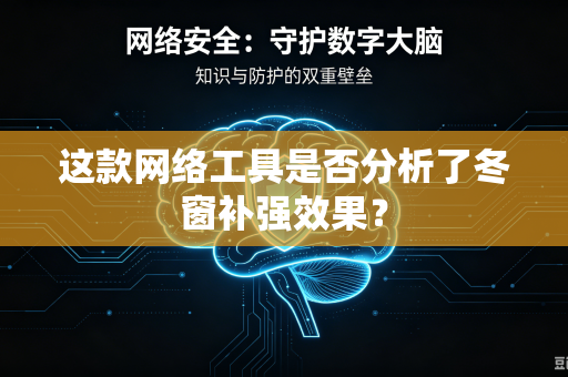 这款网络工具是否分析了冬窗补强效果？