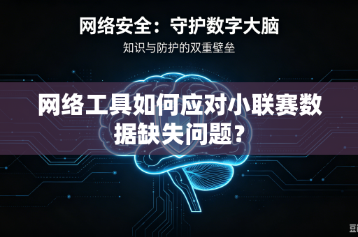 网络工具如何应对小联赛数据缺失问题？