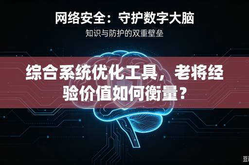 综合系统优化工具，老将经验价值如何衡量？