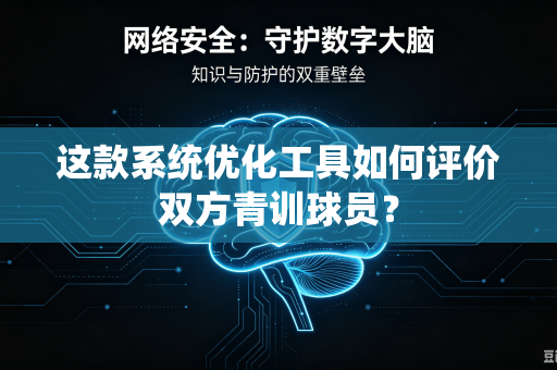 这款系统优化工具如何评价双方青训球员？