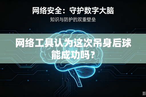 网络工具认为这次吊身后球能成功吗？