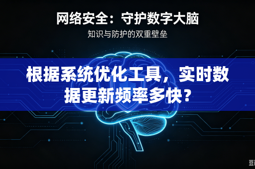 根据系统优化工具，实时数据更新频率多快？