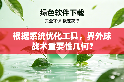 根据系统优化工具，界外球战术重要性几何？