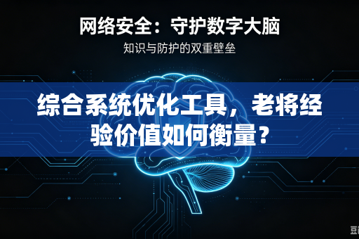 综合系统优化工具，老将经验价值如何衡量？