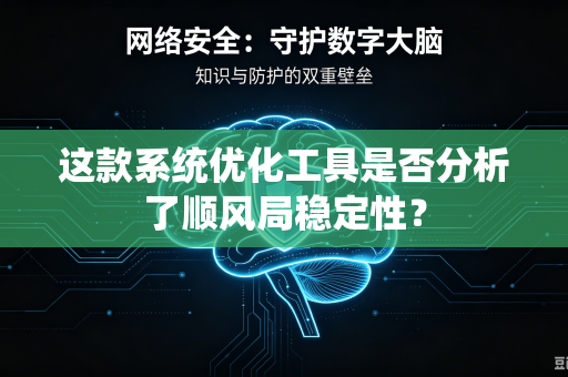 这款系统优化工具是否分析了顺风局稳定性？