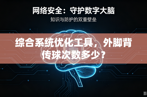 综合系统优化工具，外脚背传球次数多少？