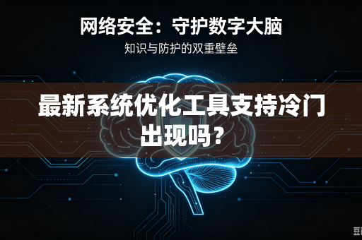 最新系统优化工具支持冷门出现吗？