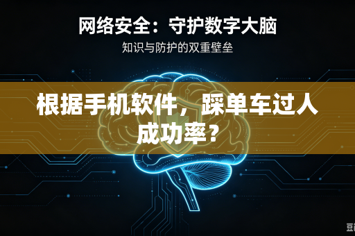 根据手机软件，踩单车过人成功率？