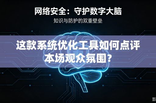 这款系统优化工具如何点评本场观众氛围？