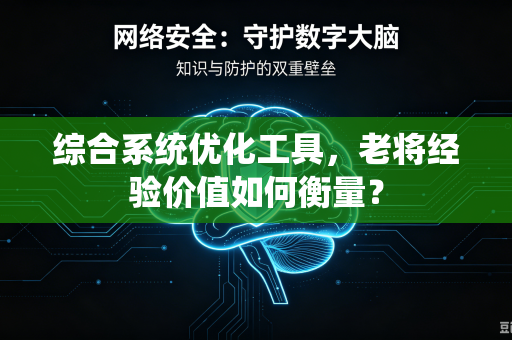 综合系统优化工具，老将经验价值如何衡量？