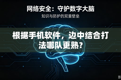 根据手机软件，边中结合打法哪队更熟？