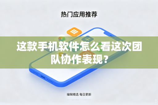 这款手机软件怎么看这次团队协作表现？