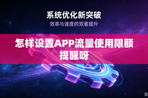怎样设置APP流量使用限额提醒呀