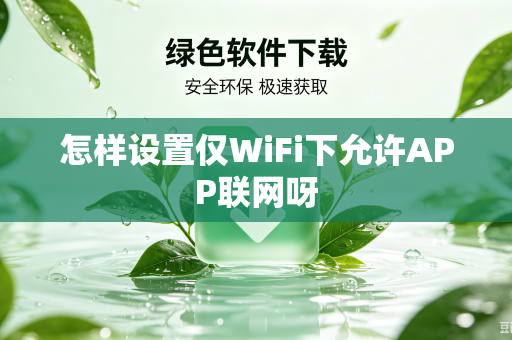 怎样设置仅WiFi下允许APP联网呀