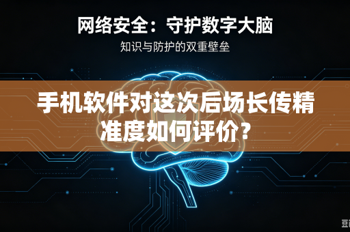 手机软件对这次后场长传精准度如何评价？
