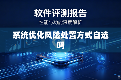 系统优化风险处置方式自选吗