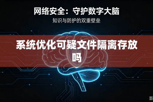 系统优化可疑文件隔离存放吗