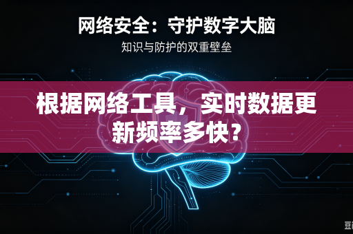 根据网络工具，实时数据更新频率多快？