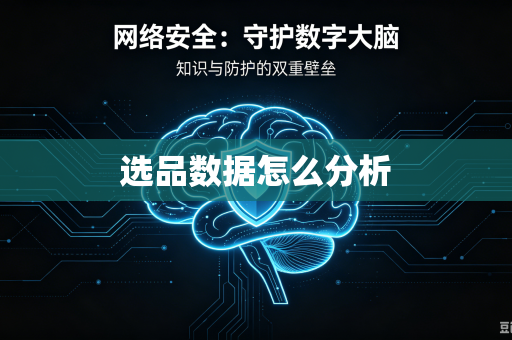 选品数据怎么分析