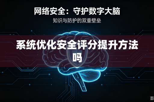 系统优化安全评分提升方法吗
