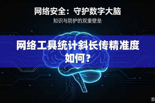 网络工具统计斜长传精准度如何？