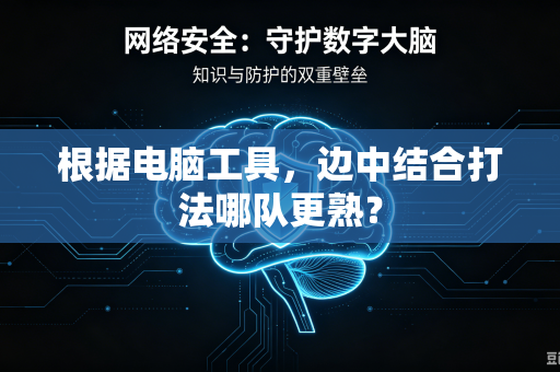 根据电脑工具，边中结合打法哪队更熟？