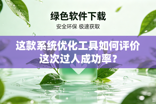 这款系统优化工具如何评价这次过人成功率？