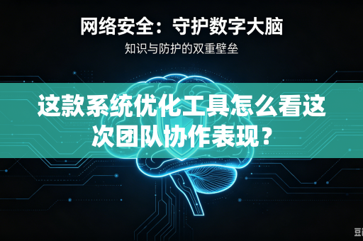 这款系统优化工具怎么看这次团队协作表现？