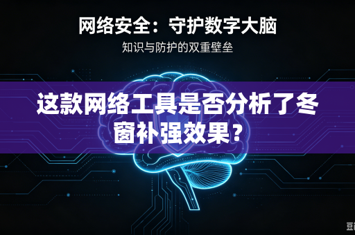这款网络工具是否分析了冬窗补强效果？