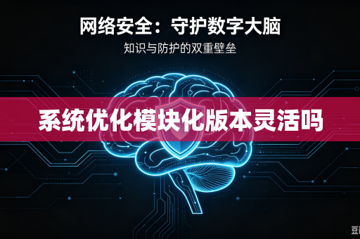系统优化模块化版本灵活吗