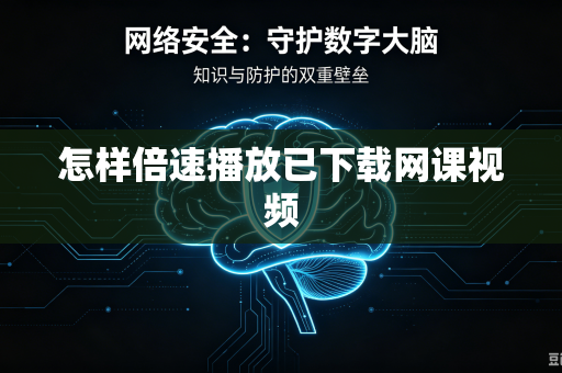 怎样倍速播放已下载网课视频