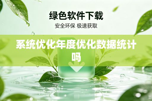 系统优化年度优化数据统计吗