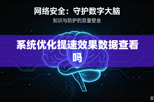 系统优化提速效果数据查看吗