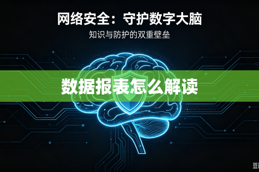 数据报表怎么解读-第1张图片-电脑手机工具软件下载 - 免费实用工具合集 | 联启科技 数据报表怎么解读-第1张图片-电脑手机工具软件下载 - 免费实用工具合集 | 联启科技