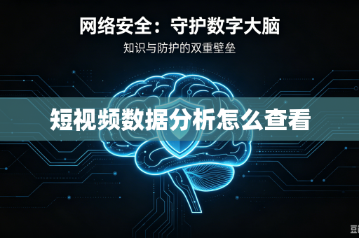 短视频数据分析怎么查看