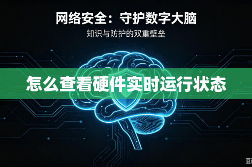 怎么查看硬件实时运行状态