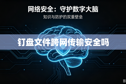 钉盘文件跨网传输安全吗