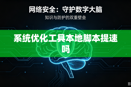 系统优化工具本地脚本提速吗