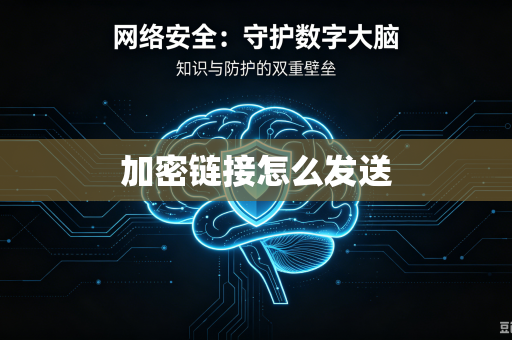 加密链接怎么发送