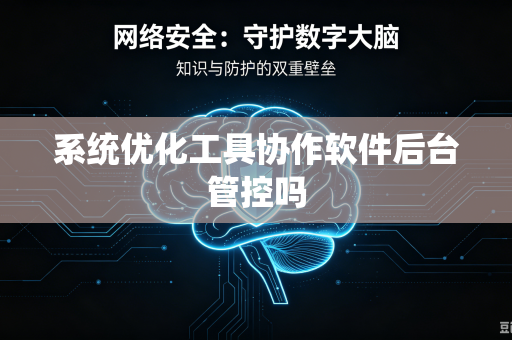系统优化工具协作软件后台管控吗