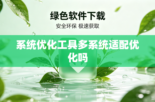 系统优化工具多系统适配优化吗