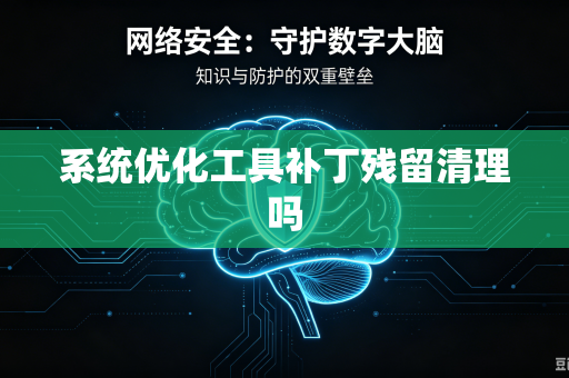 系统优化工具补丁残留清理吗