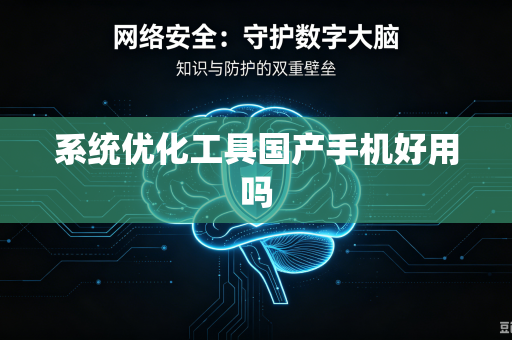 系统优化工具国产手机好用吗