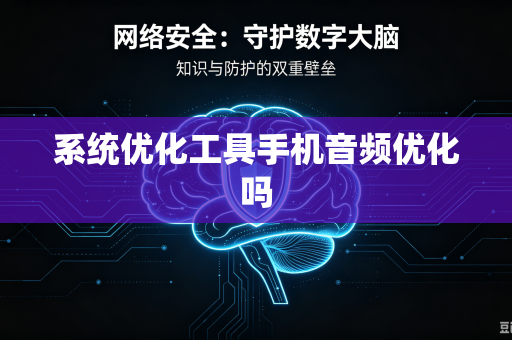 系统优化工具手机音频优化吗