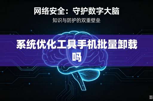 系统优化工具手机批量卸载吗