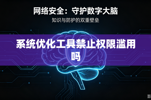 系统优化工具禁止权限滥用吗