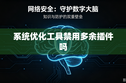 系统优化工具禁用多余插件吗
