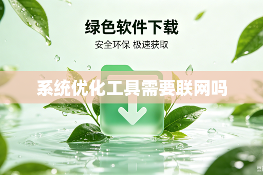 系统优化工具需要联网吗